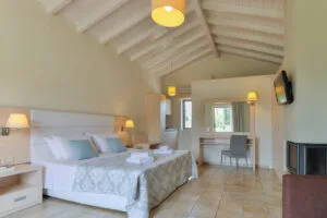 Superior Classic room bedroom space