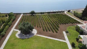 Enalia Gi garden nearby the beach