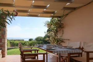 outdoor furniture garden view