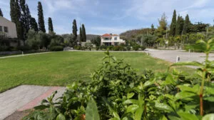garden