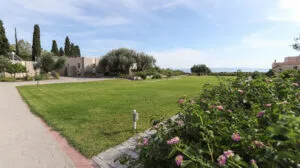 garden with flowers and olive trees