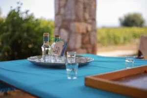 tsipouro at Enalia gi hotel