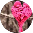 βασια μαστορακη profile picture